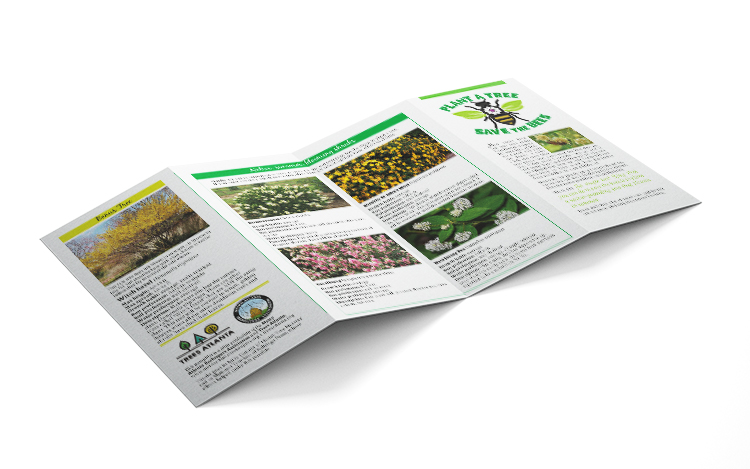 Plant a Tree Brochure