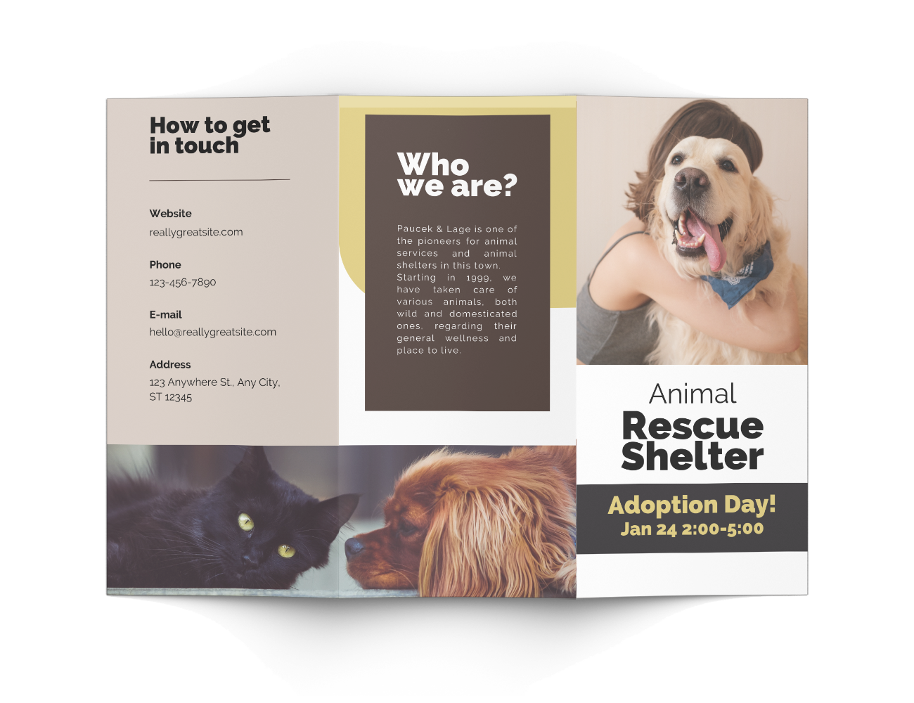 Charity Event Brochure - Pet Rescue Day Unfolded