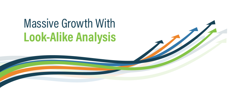 Massive Business Growth with Look-Alike Analysis
