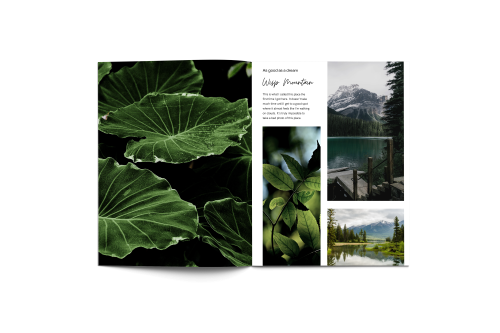 Portfolio Catalogs