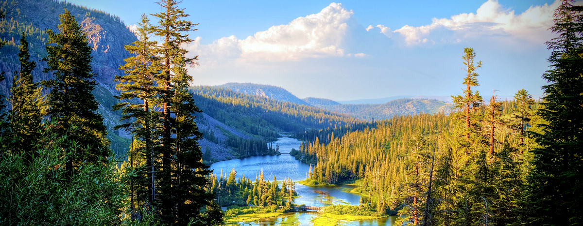 The printing industry isn't actually all that bad for the environment
