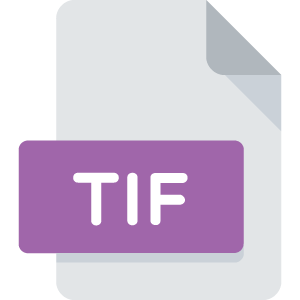 Tiff icon