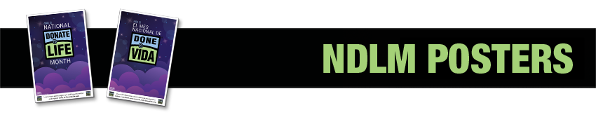 DLA-2024-NDLM-Poster-Header