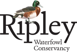 Ripley Waterfowl Conservancy